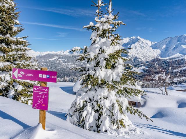 Raquettes à neige à Saint-Gervais Mont-Blanc