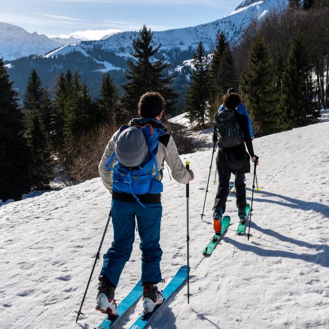 Ski de randonnée