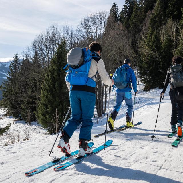 Ski touring