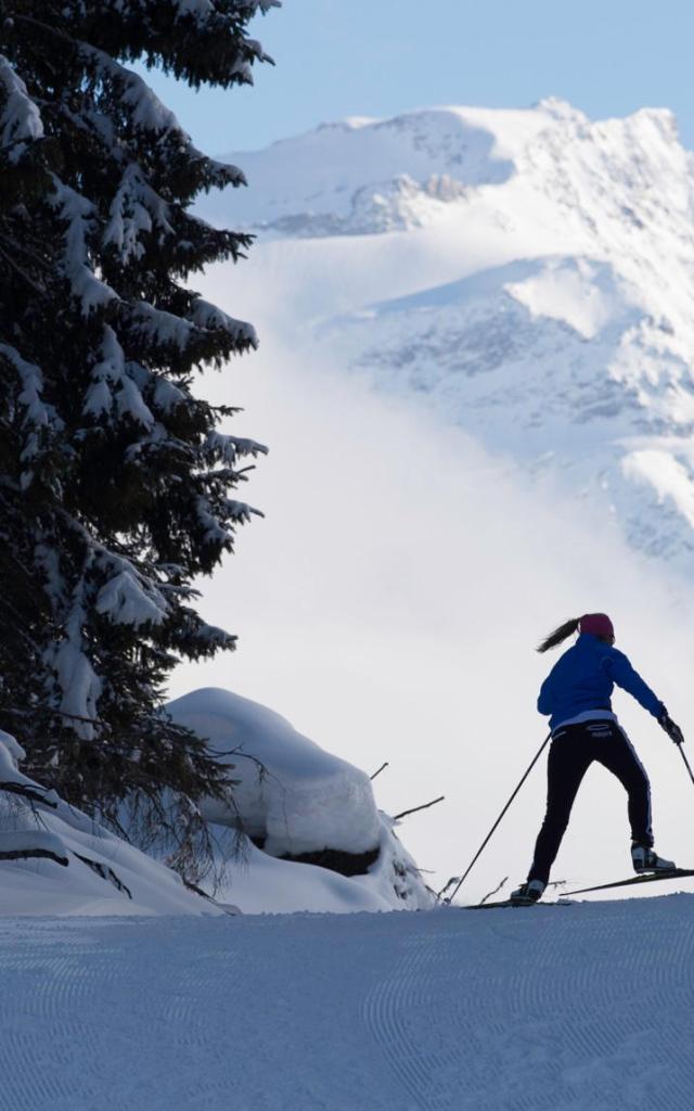 Cross-country skiing