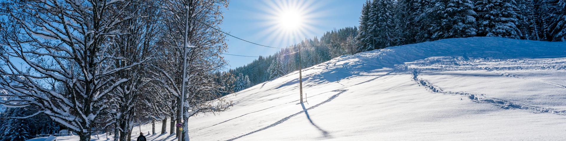 Raquettes à neige à Saint-Gervais Mont-Blanc