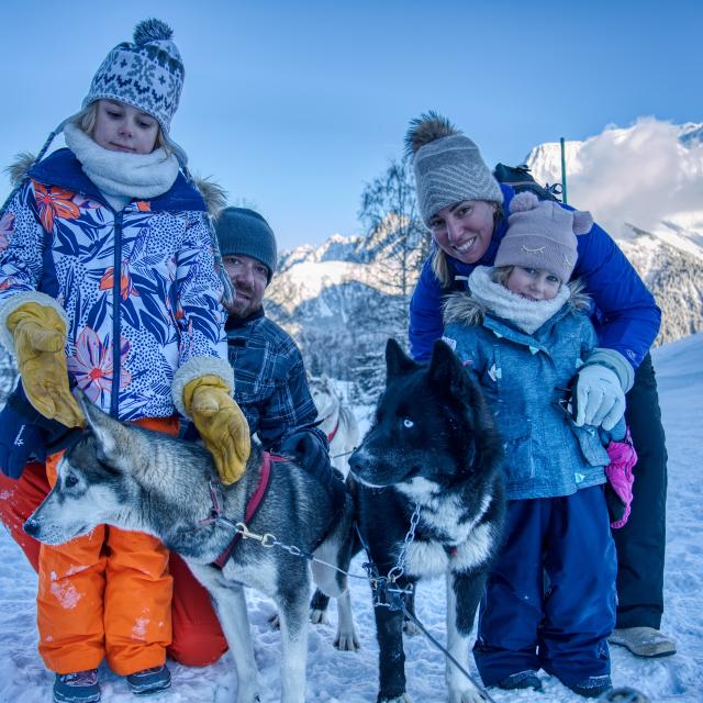 Sled dogs with the family in Saint-Gervais Mont-Blanc