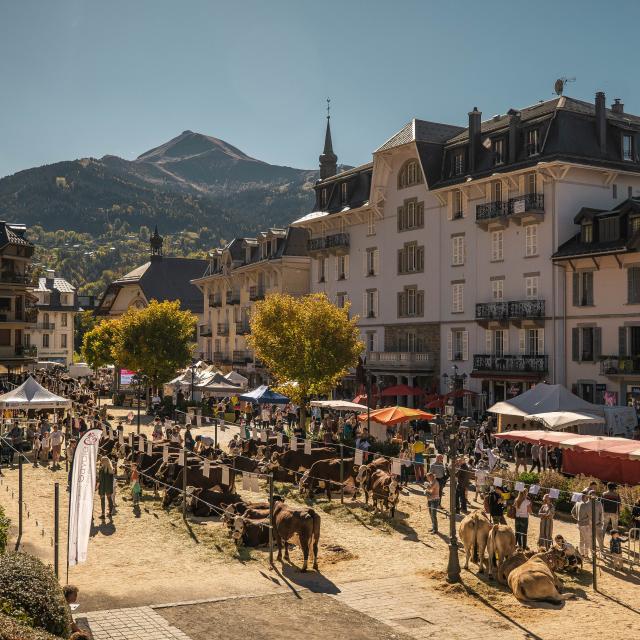 Foire Agricole de Saint-Gervais Mont-Blanc