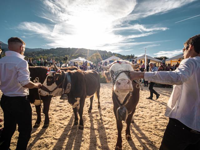 Saint-Gervais Mont-Blanc Agricultural Fair