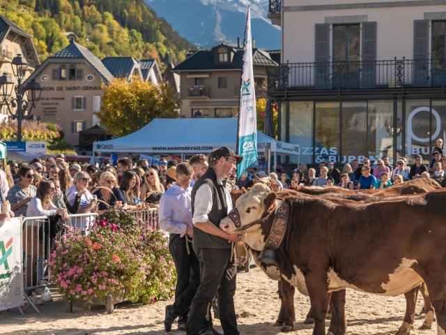 Saint-Gervais Mont-Blanc Agricultural Fair