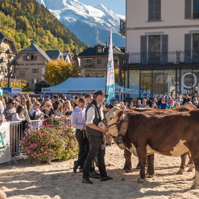 Saint-Gervais Mont-Blanc Agricultural Fair