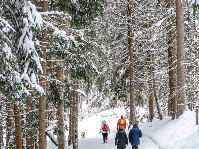 Randonnée hivernale aux Communailles