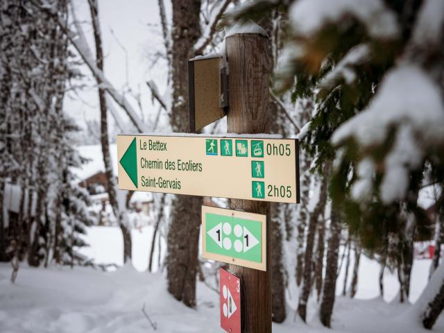 Snowshoe itineraries