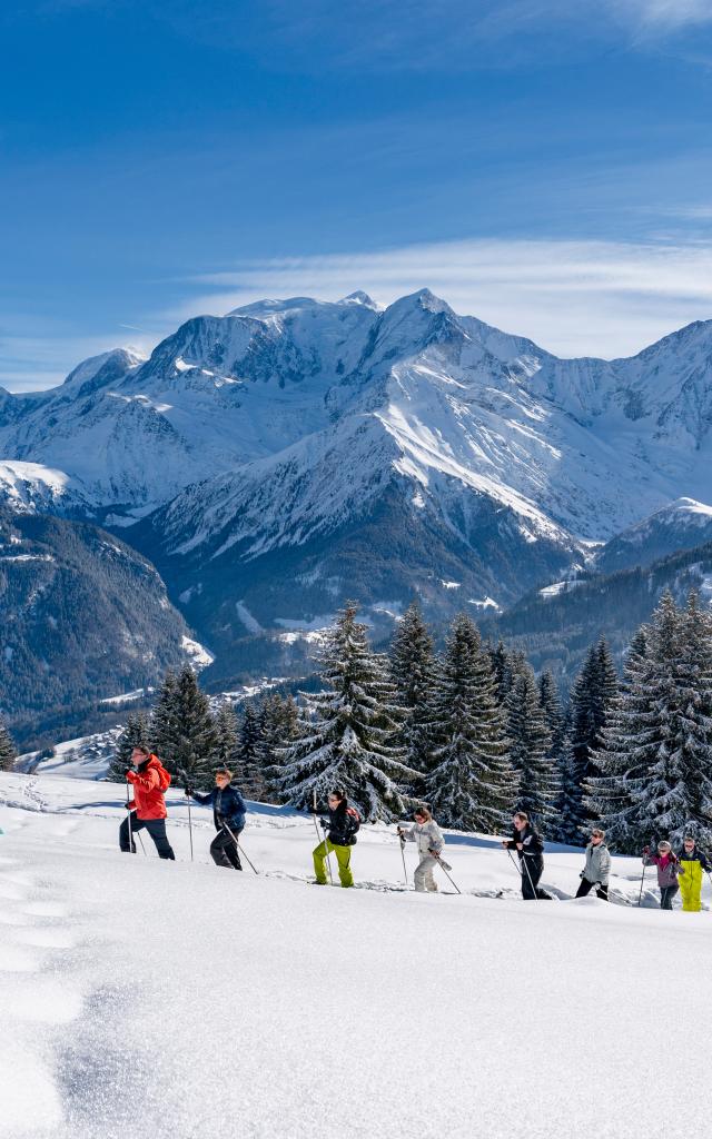 Randonnée en raquettes à neige