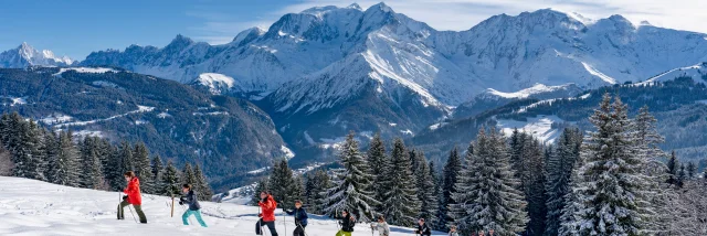 Randonnée en raquettes à neige