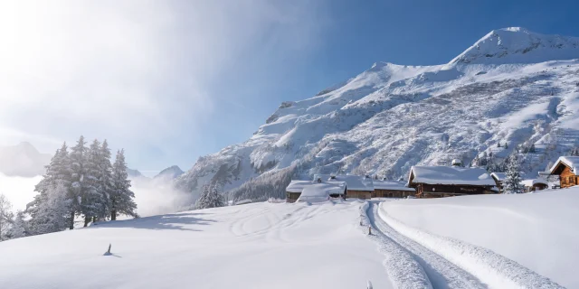 Randonnée hivernale à Porcherey