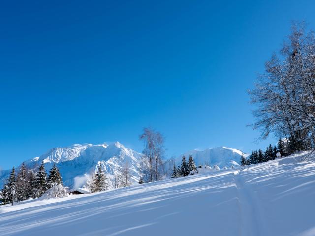 Vue sur le Mont-Blanc durant une randonnée raquettes