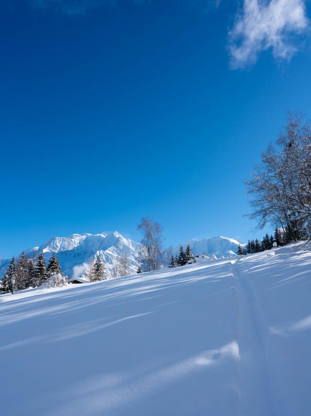 Vue sur le Mont-Blanc durant une randonnée raquettes