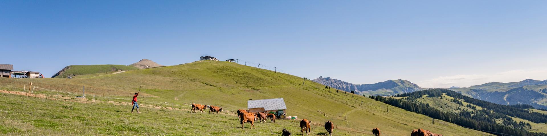 L'alpage de la pierre du déjeuner