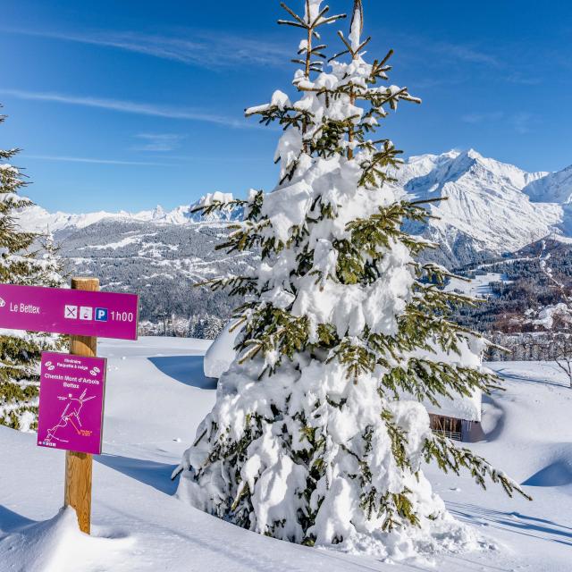 Randonnée raquettes à Saint-Gervais Mont-Blanc