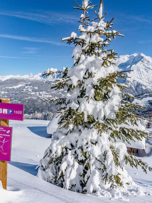 Randonnée raquettes à Saint-Gervais Mont-Blanc