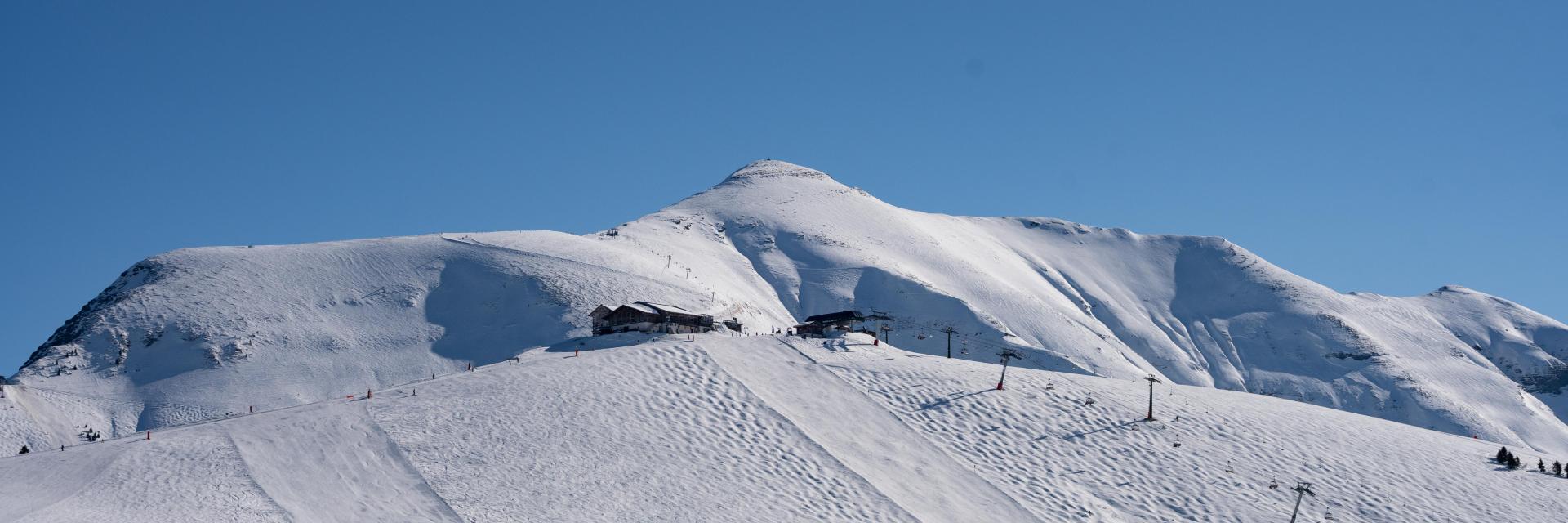 Le Mont Joux