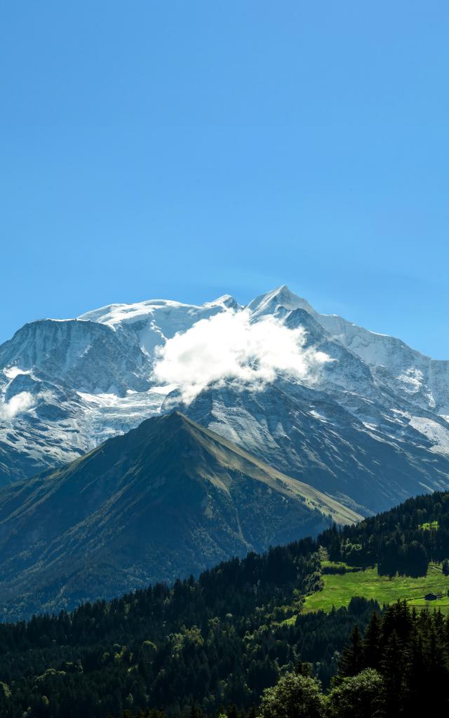 Le Mont-Blanc vu du Bettex