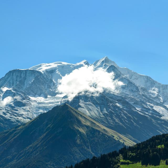 Il Monte Bianco visto da Le Bettex