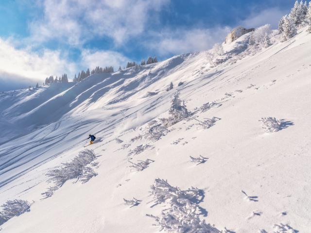 Hors piste sous la folie douce