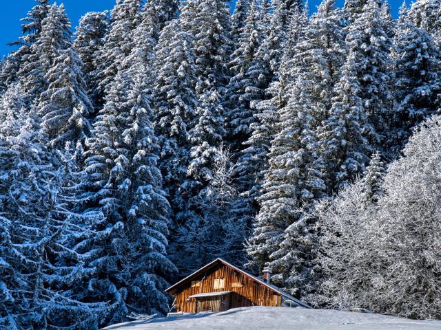 Small cottage in the heart of winter