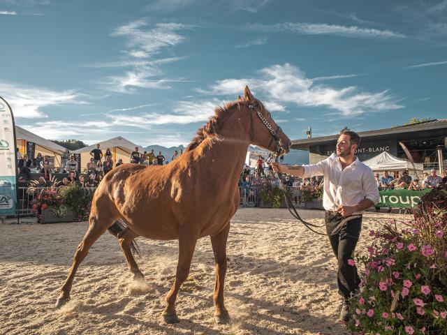 47 Agricultural Fair