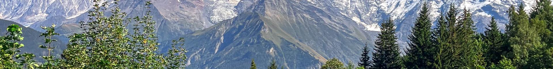 The Mont-Blanc massif, a jewel case of nature