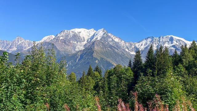 Le massif du Mont-Blanc, un écrin de nature