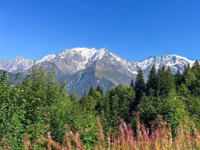 The Mont-Blanc massif, a jewel case of nature