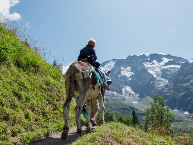 Donkey trekking