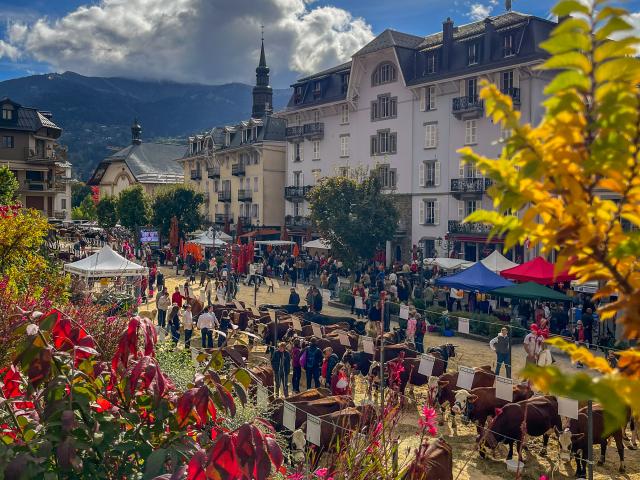 La fiera di Saint-Gervais