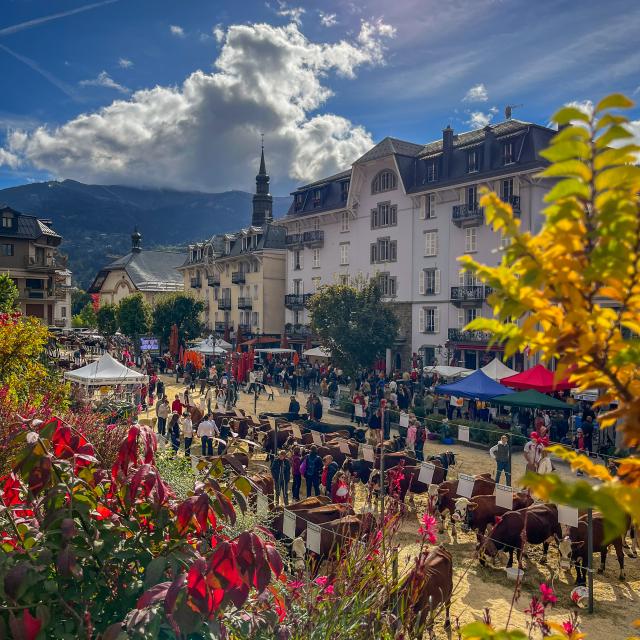 La fiera di Saint-Gervais