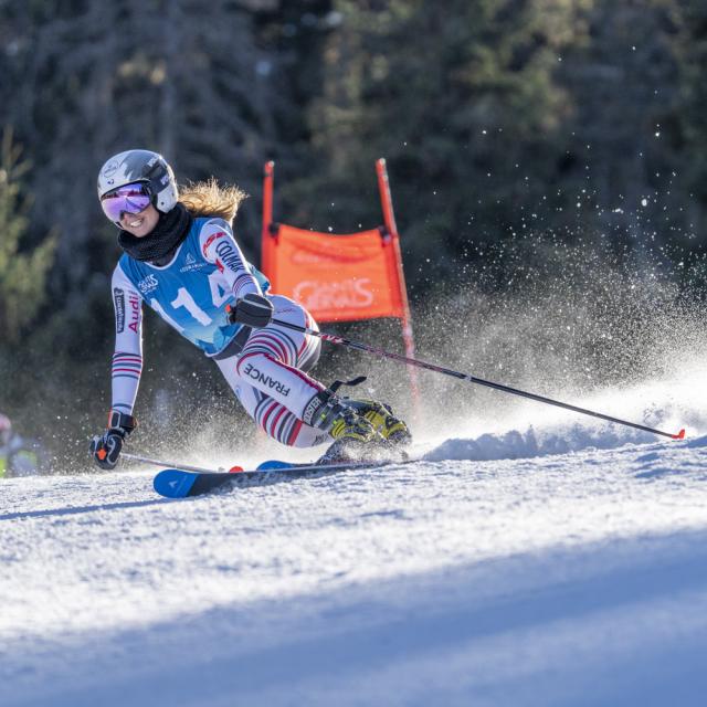 Telemark World Cup