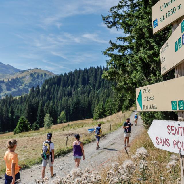 Randonnée en famille