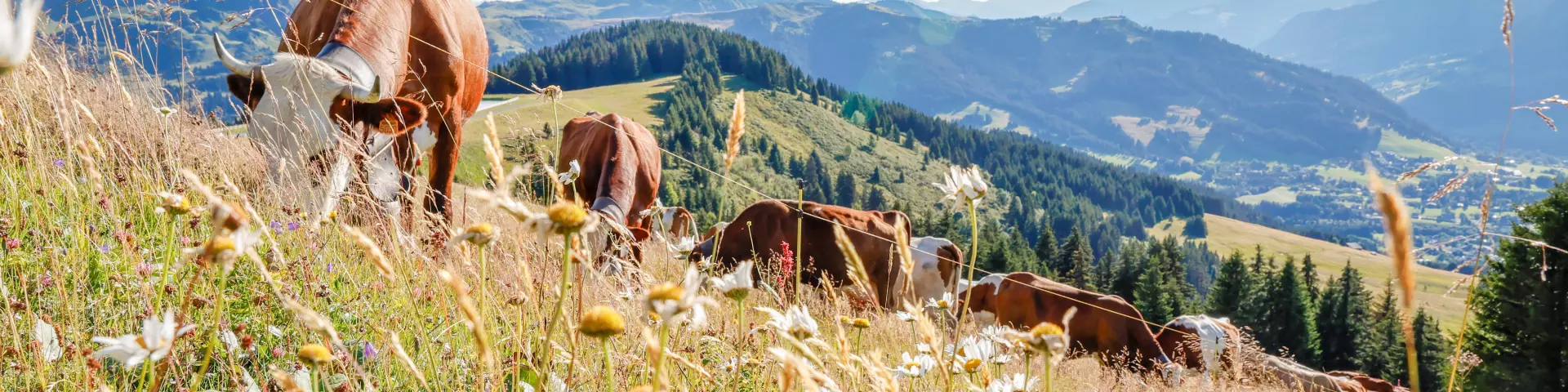 Les alpages de Saint-Gervais Mont-Blanc