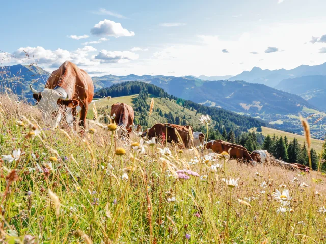 Les alpages de Saint-Gervais Mont-Blanc