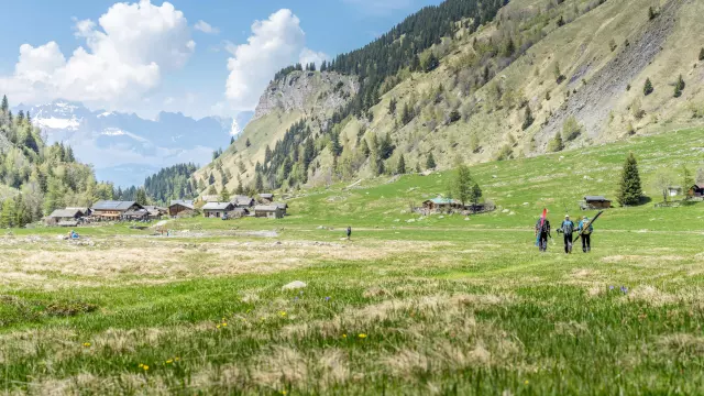 Le printemps dans le vallon de miage