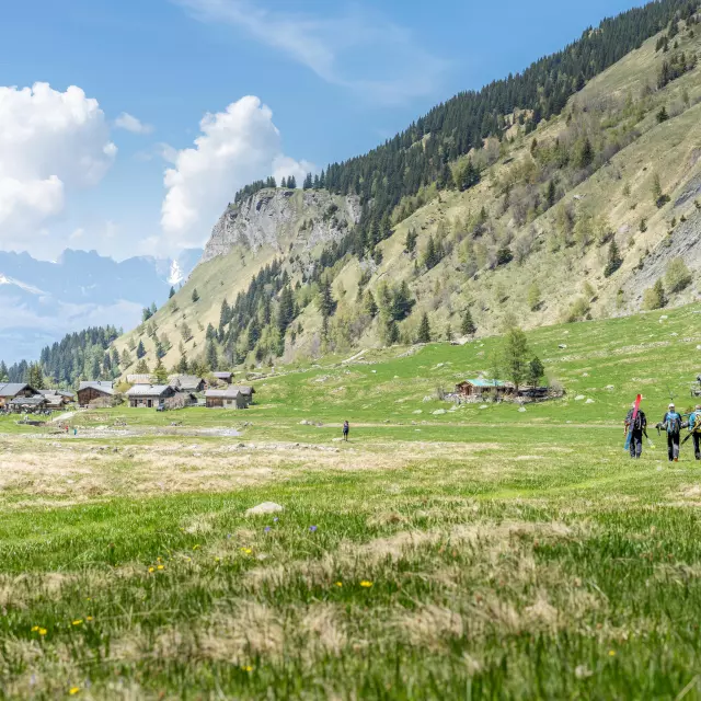 Le printemps dans le vallon de miage