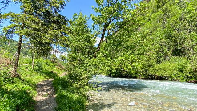 Les bords du bonnant au printemps