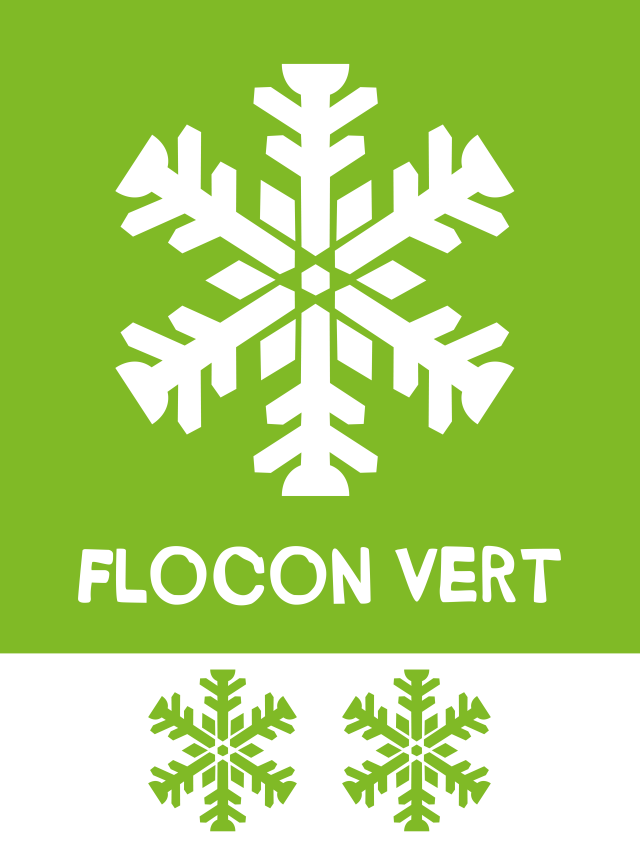 Logo Flocon Vert 2