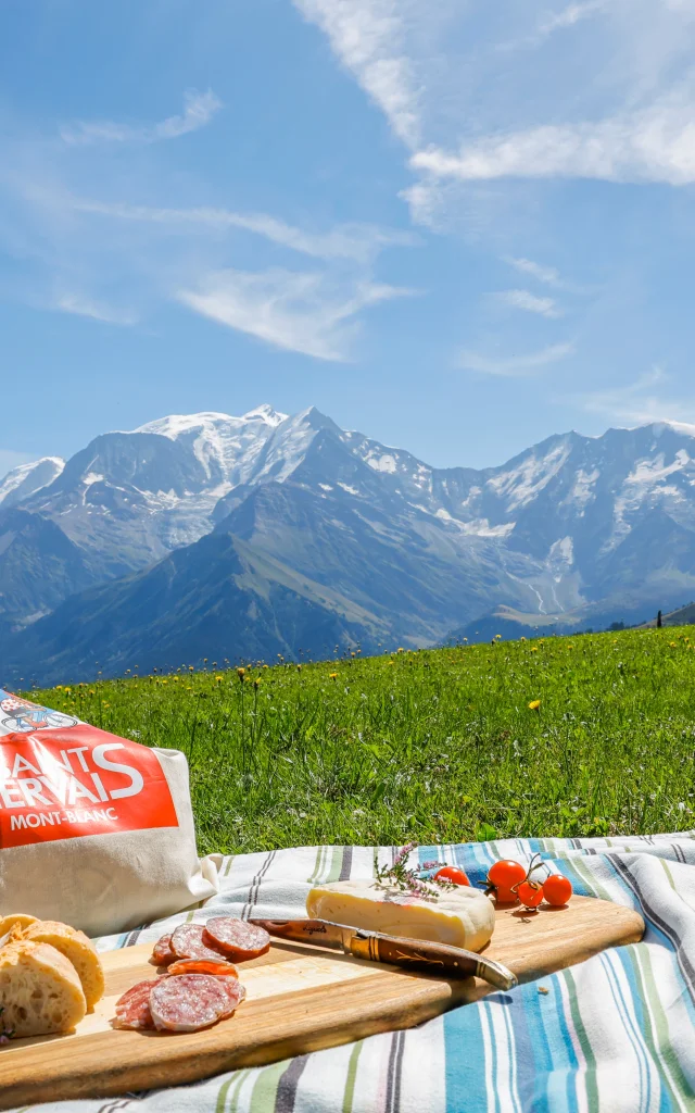 Pique-nique face au Mont-Blanc