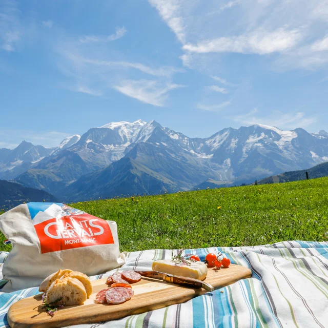 Pique-nique face au Mont-Blanc