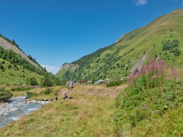 Pique-nique dans le vallon de miage