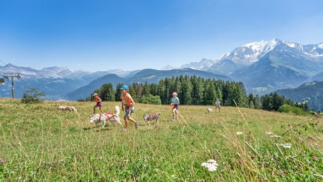 Cani randonnée à Saint-Gervais Mont-Blanc