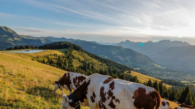 Coucher de soleil dans les alpages de Saint-Gervais Mont-Blanc