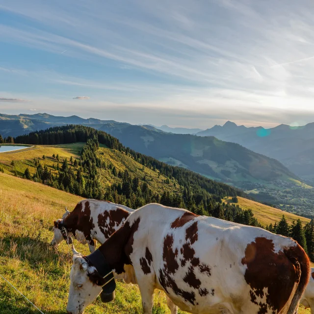 Coucher de soleil dans les alpages de Saint-Gervais Mont-Blanc