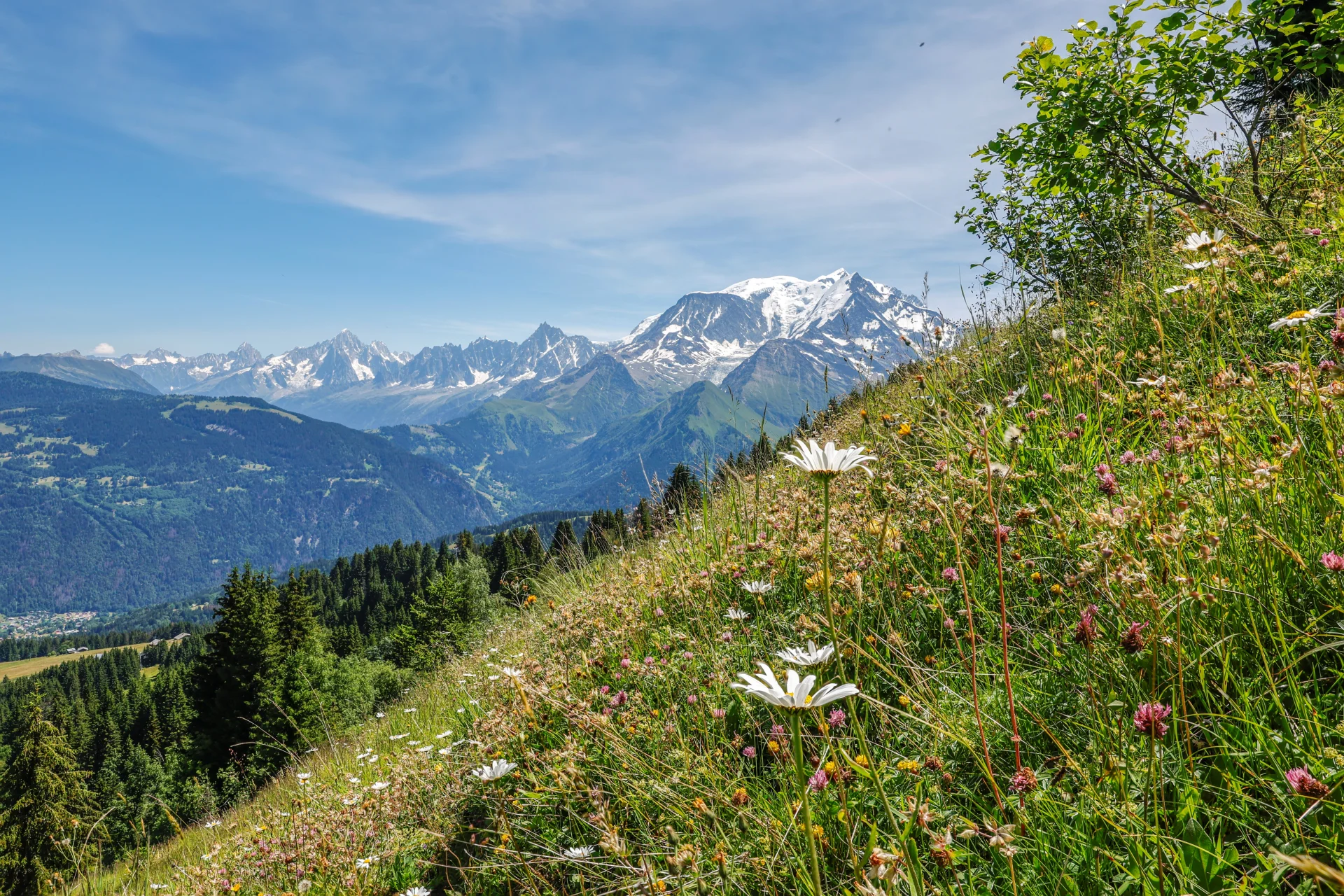 Le massif du Mont-Blanc vu de Saint-Gervais