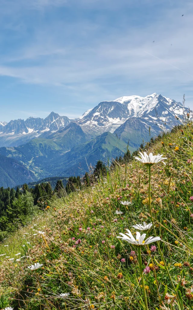 Le massif du Mont-Blanc vu de Saint-Gervais