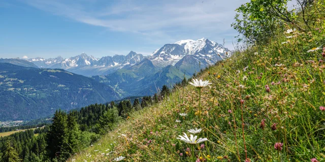 Le massif du Mont-Blanc vu de Saint-Gervais