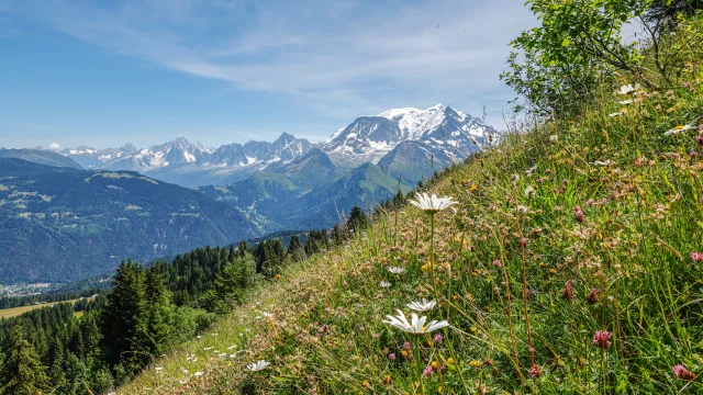 Le massif du Mont-Blanc vu de Saint-Gervais